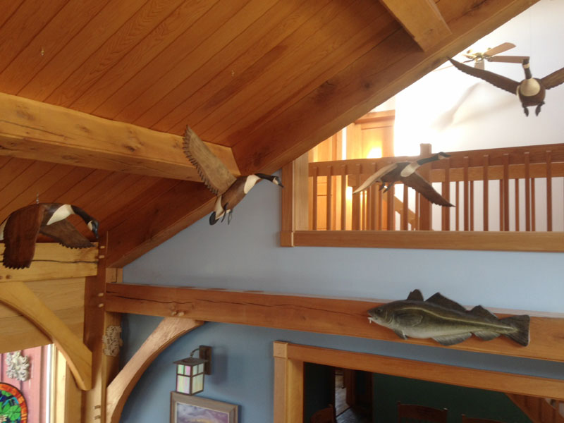 Canada Goose display