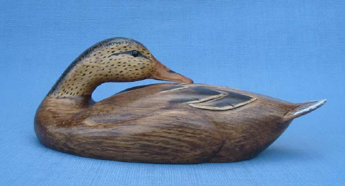 Wood Carving - Handcarved Classis Mallard Hen Preening Decoy