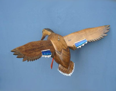 Bird In Flight Mallard Hen Wings Up